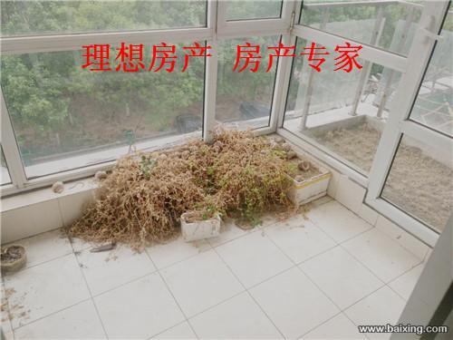 ZP 双证双气 黄金楼层 现浇房